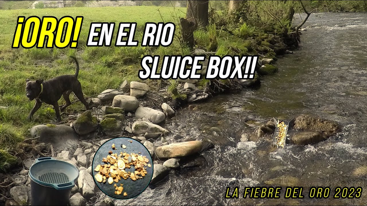 ¡ORO! en el rio SLUICE BOX!! La fiebre del ORO 2023! SMICKS GOLD! - YouTube