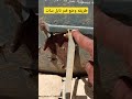 اسهل طريقه لالتقاط قمر نايل سات 