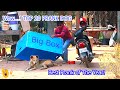 Wow...! TOP 20 Super Huge Box vs Prank sleep Dogs   - [Don't miss End] Best Prank of The Year!