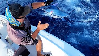 Fishing livebaits for Marlin