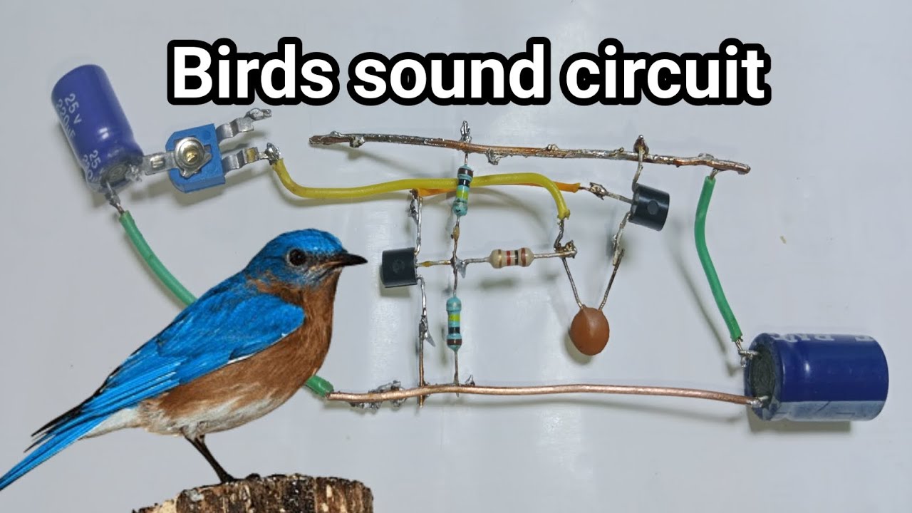 How to make Birds sound circuit at home | Best बर्ड्स साउंड