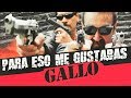 Para Eso Me Gustabas Gallo (2005) | MOOVIMEX powered by Pongalo