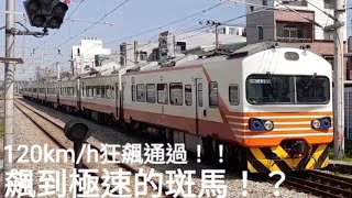 120km/h狂飆!!!!台鐵167次紅斑馬 中洲極速通過 (魚尾版)