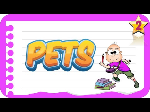 2. Sınıf Pets | Birlikte Öğrenelim #İngilizce