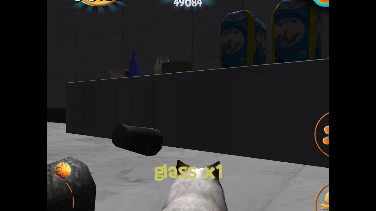 Cat simulator 2015.