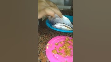 #حالات_واتس #تلاوة_مؤثرة #تلاوة_خاشعة #إسلام_صبحي #حالات #حالات_واتساب #صوت_يريح_القلب #قرآن