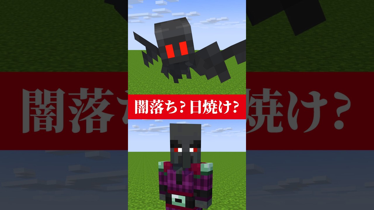 【マイクラ】闇落ちした黒いモブの正体が怖過ぎる！　#shorts