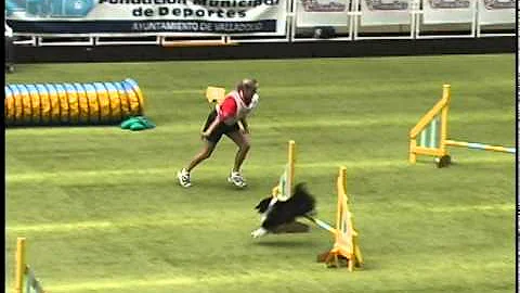 WC 2005 ~ Spain - Jumping Team run -  Bailey & Gle...