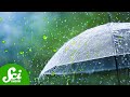 Understanding Acid Rain