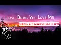 Leave Before You Love Me by Zayn (Lyrics) Marshmallow and Jonas Brothers_-_Remix