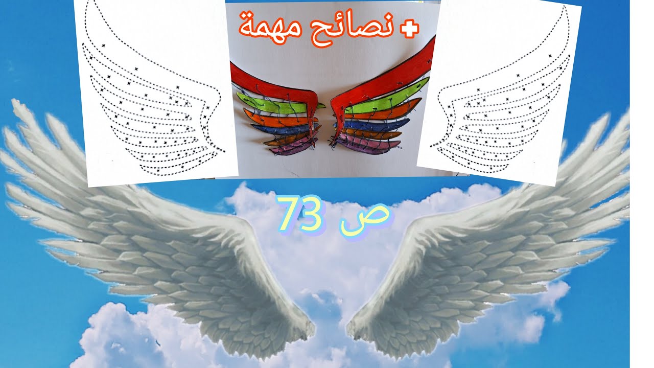أضع خطة و أصنع مجسم جناح طائر (ص 73) المفيد في النشاط العلمي #المستوى ...