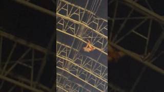 Crazy guy climbing scaffolding in The Barn after Aphex Twin performance 03/06/17@ Field Day , London