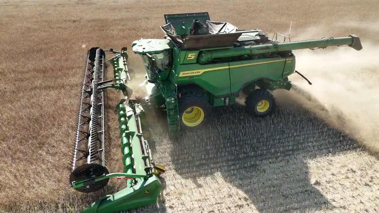 Leask, SK - Harvesting Canola
