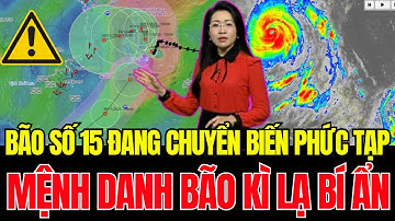 Cơn Bão Kỳ Lạ Nhất Thế Giới Senyar Chính Thức Vào Biển Đông -LỊCH SỬ THẾ GIỚI BỊ PHÁ VỠ| Điều Cơ Bản
