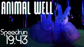 Animal Well NMG Speedrun - 19:43