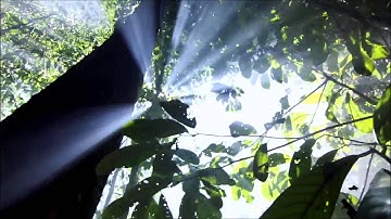 سورة القلم بصوت القارئ وسام (ابو اسامة)