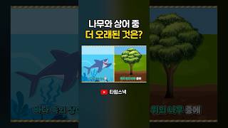 나무와 상어 중 더 오래된 것은?