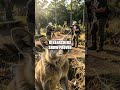 The Invisible Web of Wildlife Corridors and Conservation
