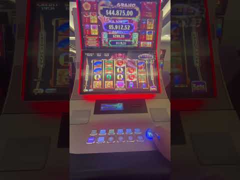 Winpot wh1divierte