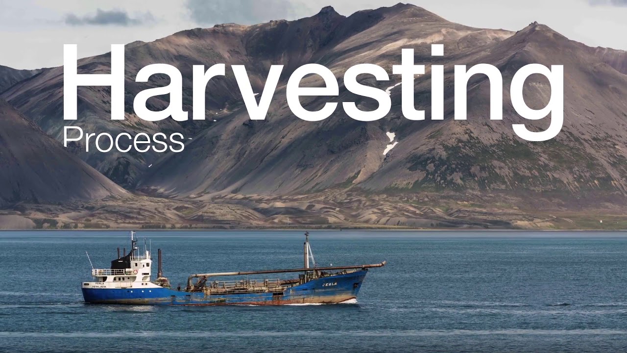 Aquamin Rode Alg & Zeemagnesium supplementen ⟹ Vitaminesperpost.nl