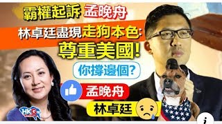 政治揭露#114c 美狗林卓廷尊重美國逼害孟晚舟/泛民唔敢反對日本侵犯郭紹傑人權/撑黄之鋒才係港豬 20190202