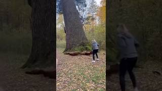 Спасла лису в опасный момент #рек #рекомендации
