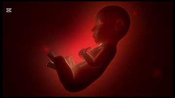 تلاوة خاشعة من سورة الأنعام للقارىء هشام بن مزروع المزروع#اكسبلور #راحة_نفسية #nature #ترند