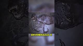 O QUE ACONTECE EM CHERNOBYL HOJE VAI TE DEIXAR ARREPIADO.. #curiosidades #chernobyl #historia