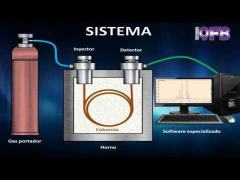 Video: ¿Qué compuesto se eluirá primero en la cromatografía de gases?