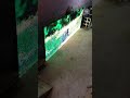 Video Image