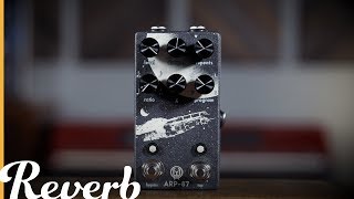 Walrus Audio ARP-87 Multi-Function Delay | Reverb Demo Video