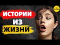 Истории из Жизни! Бывший Сам Прибежал! Любовные истории!