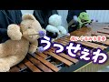 【マリンバ3重奏】ぬいぐるみたちの「うっせぇわ/Ado」