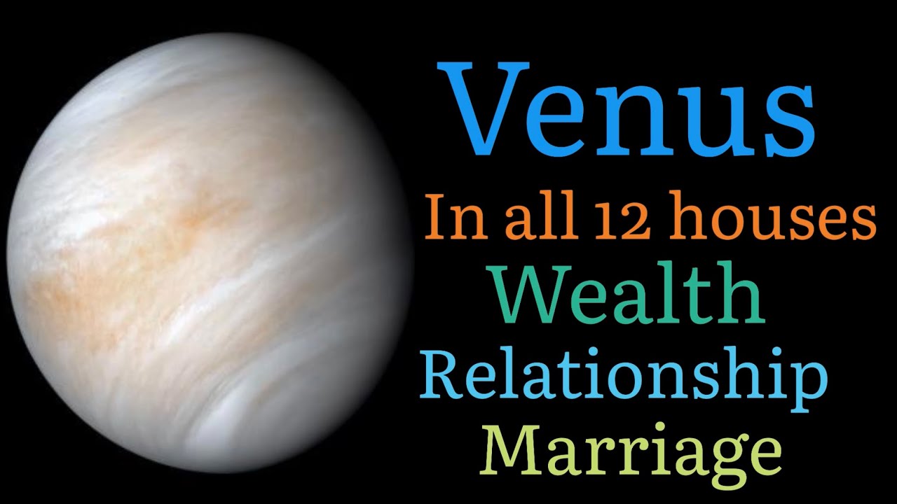 Venus in all 12 houses || शुक्र का १२ भवों मेंफल || Snapshot Prediction || Relationships Marraige ||