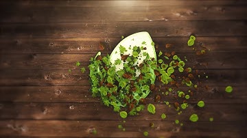 Elegant Leaves Logo Reveal Intro  | Videohive After Effects Template