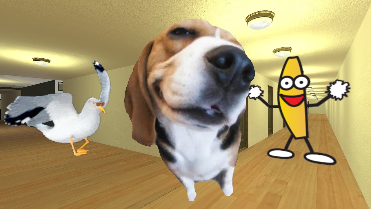 seagull, beagle And Banana - Nextbot Chase in Garry’s Mod (Horror)
