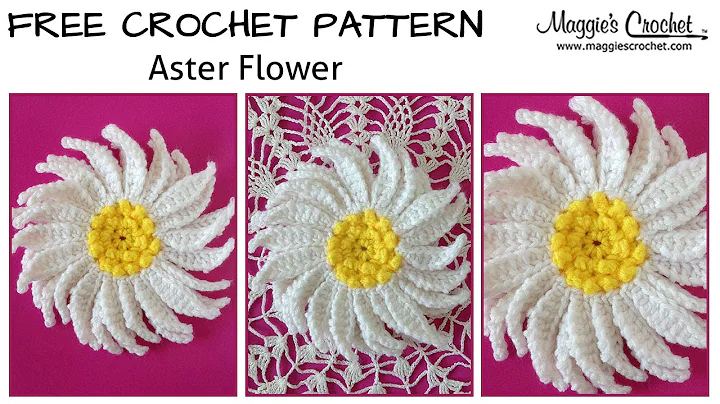 Create Stunning Aster Flowers with this Free Crochet Pattern