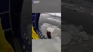 🦅 WATCH: Officers rescue injured bald eagle trapped on ice on the Hudson River. #baldeagle #nyc