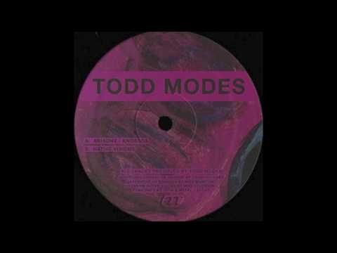 Todd Modes — Todd Modes - Native Visions