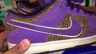 purple safari sb