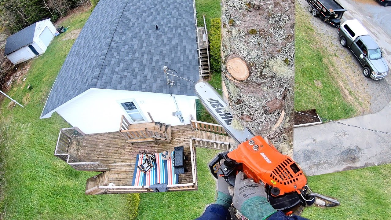 Climbing Above House To Cut Tree YouTube