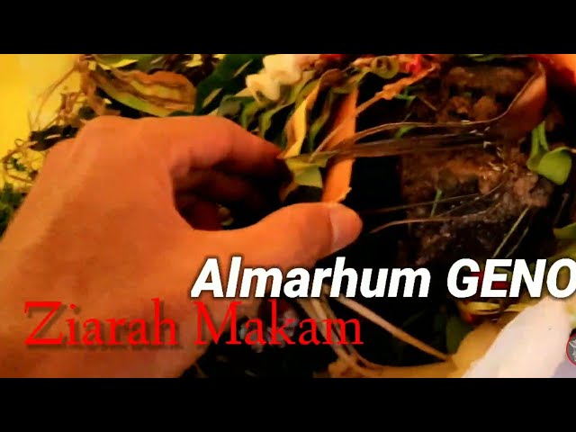 Ziarah Makam Almarhum Geno. class=