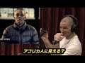 【UFC 293】アデサニヤ vs ストリックランド『故郷』