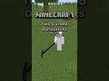 Minecraft Cursed Datapacks: Ridiculously Long Pickaxes 🛠️