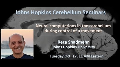 Reza Shadmehr: Neural computations in the cerebellum during control of a movement