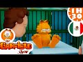 🥦 &quot;Garfield Necesita Hacer Dieta&quot; 🍽️ - Episodios Especiales en Español