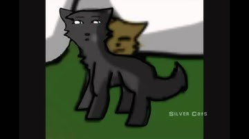 [FINISHED] Cinderpelt MAP - My heart still beats