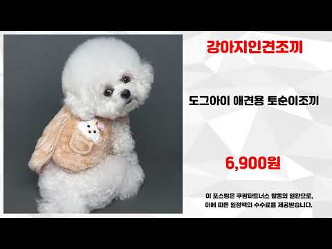 강아지인견조끼 추천 | 오늘만 초특가 이 기회를 놓치지 마세요 | 최신 인기 아이템   | 실시간 핫딜 리스트