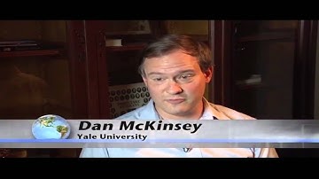 What is Dark Matter?