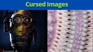 Cursed Imagine Mr Incredible Becoming Cannyuncanny